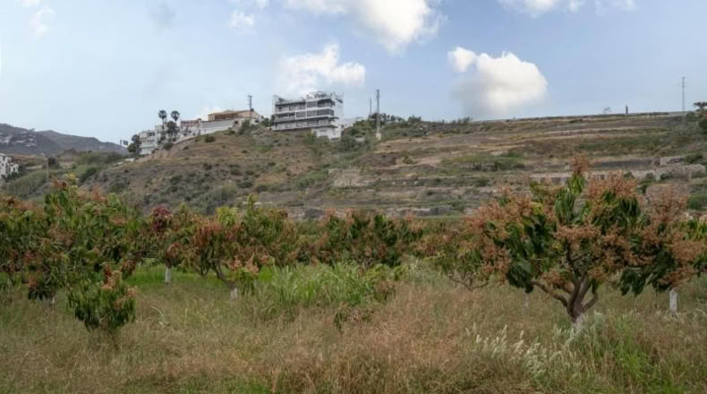 Granada - Salobreña - 23233m2