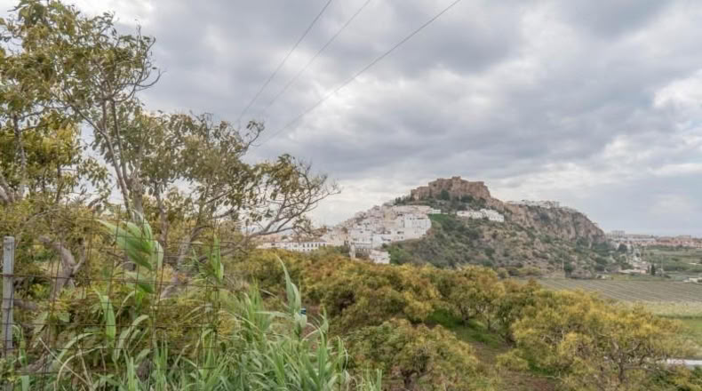 Granada - Salobreña - 23233m2