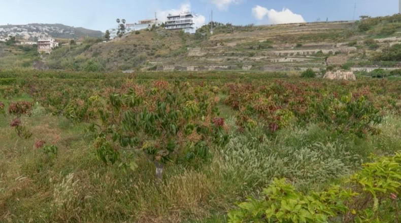 Granada - Salobreña - 23233m2