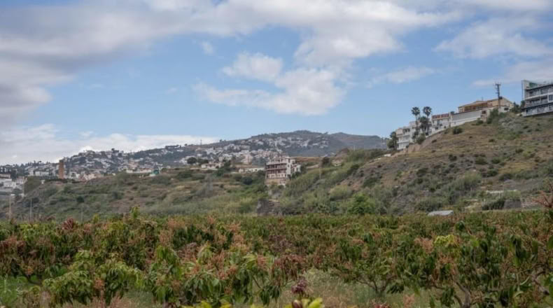 Granada - Salobreña - 23233m2