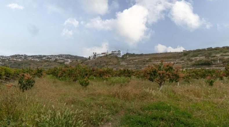 Granada - Salobreña - 23233m2