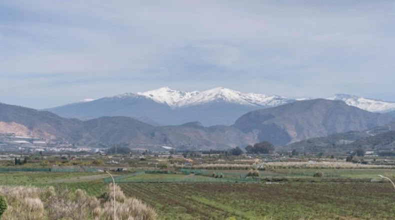 Granada - Salobreña - 23233m2