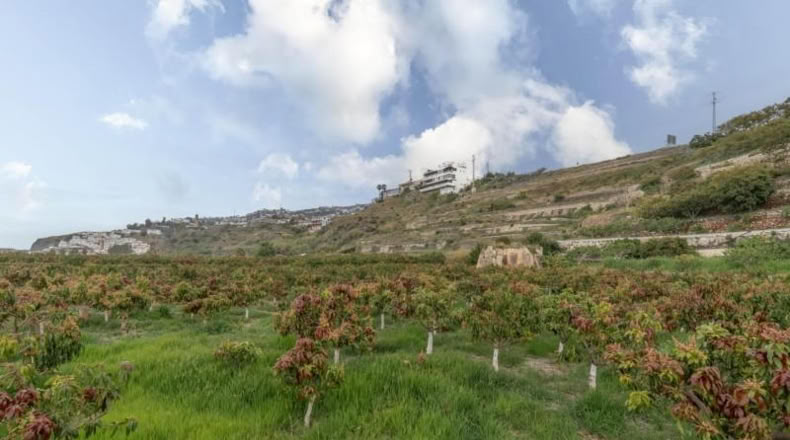 Granada - Salobreña - 23233m2