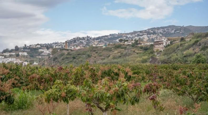 Granada - Salobreña - 23233m2