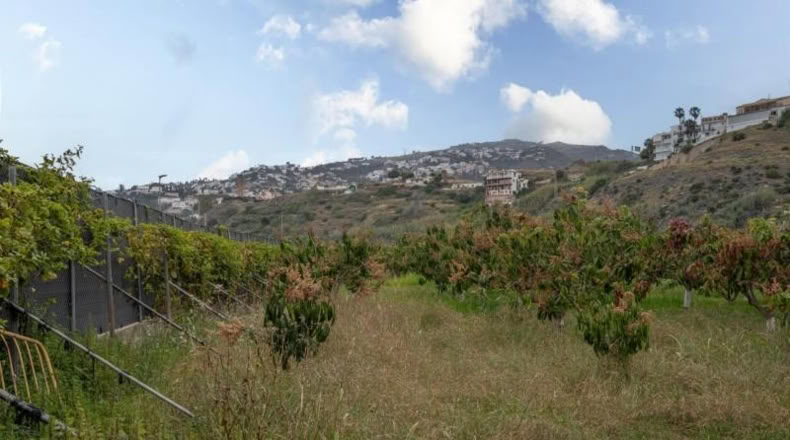 Granada - Salobreña - 23233m2