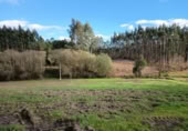 Casa de poble en venda a la Os Odreiros-Ambroa. 15313, O Pazo de Irixoa, ref.: TR403084 foto