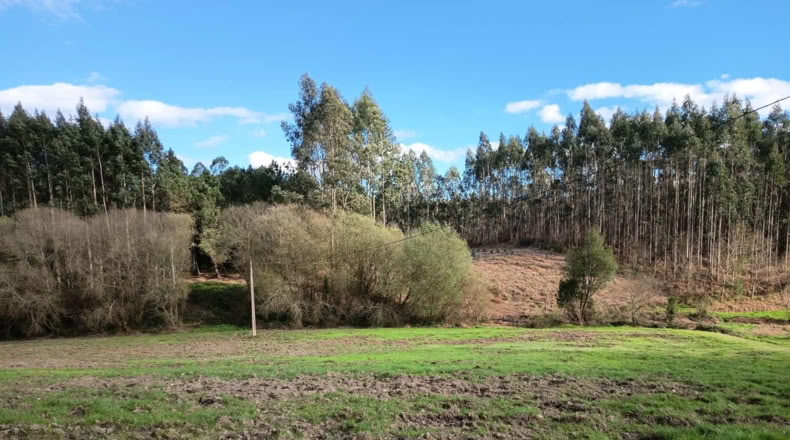 Ла-Корунья - O Pazo de Irixoa - 1200m2