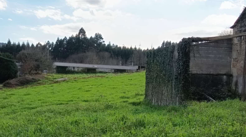 Ла-Корунья - O Pazo de Irixoa - 1200m2