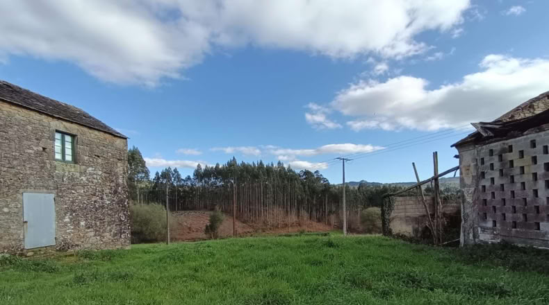 Ла-Корунья - O Pazo de Irixoa - 1200m2