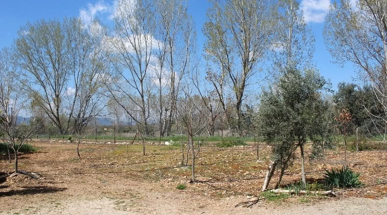 Ciudad Real - Malagón - 48731m2