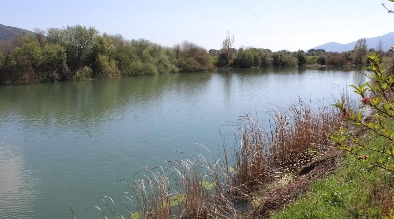 Ciudad Real - Malagón - 48731m2