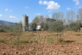 Foto 9