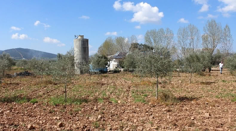 Ciudad Real - Malagón - 48731m2