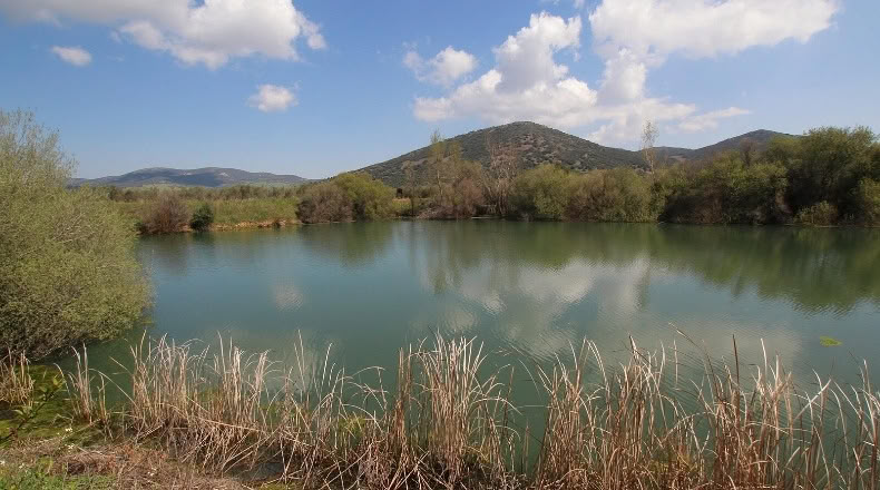 Ciudad Real - Malagón - 48731m2