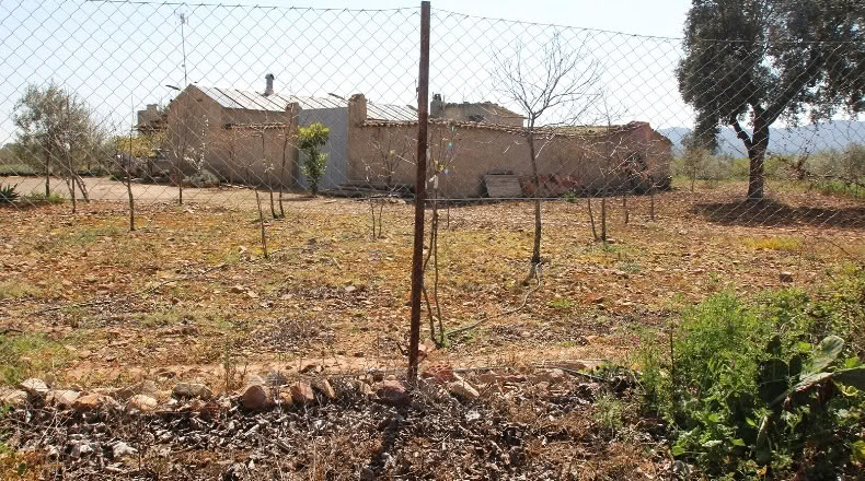 Ciudad Real - Malagón - 48731m2