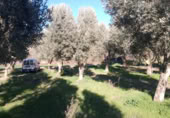 Terreno con Almacén en alquiler en la Carretera de Guadalajara a Alcañiz y Lleida, Alcañiz, ref: TR403089 foto