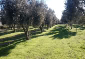 Terreno con Almacén en alquiler en la Carretera de Guadalajara a Alcañiz y Lleida, Alcañiz, ref: TR403089 foto