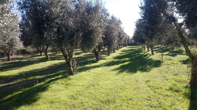 Teruel - Alcañiz - 260000m2