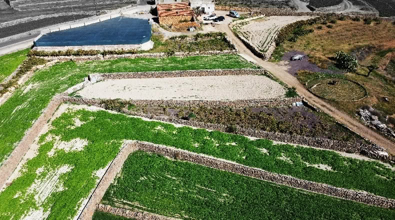 Santa Cruz de Tenerife - Vilaflor - 27091m2