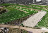 Finca rústica en venda a la Los cortados, Vilaflor, ref.: TR403086 foto