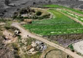 Finca rústica en venda a la Los cortados, Vilaflor, ref.: TR403086 foto