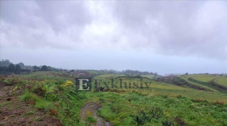 Santa Cruz de Tenerife - San Juan de la Rambla - 40900m2