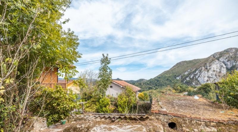 Asturias - Oviedo - 196m2