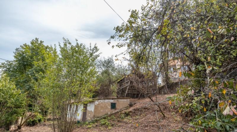 Asturias - Oviedo - 196m2