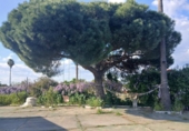 Detached villa with land for sale on España, Gibraleón, ref: TR403446 photo