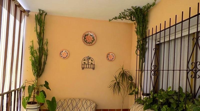 Murcia - San Pedro del Pinatar - 241m2