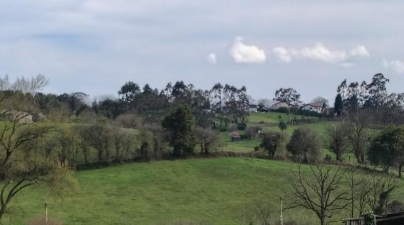 Asturias - La Sierra - 9065m2