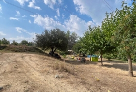 les Borges del Camp 60972&nbsp;м²