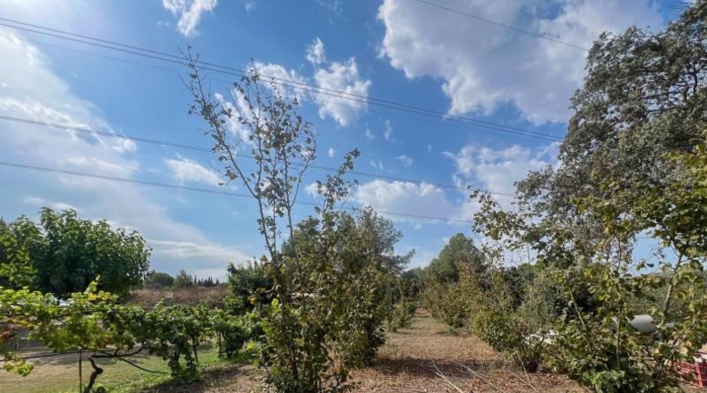 Tarragona - les Borges del Camp - 60972m2