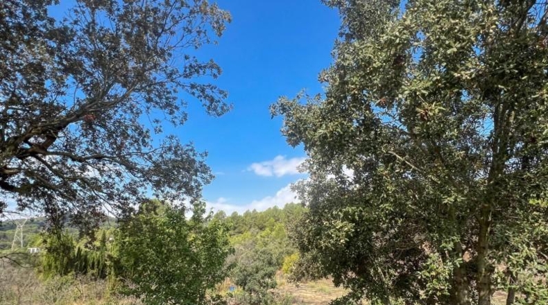 Tarragona - les Borges del Camp - 60972m2