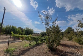 les Borges del Camp 60972&nbsp;м²