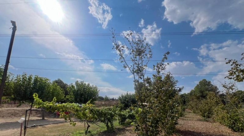 Tarragona - les Borges del Camp - 60972m2