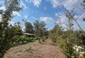 les Borges del Camp 60972&nbsp;м²