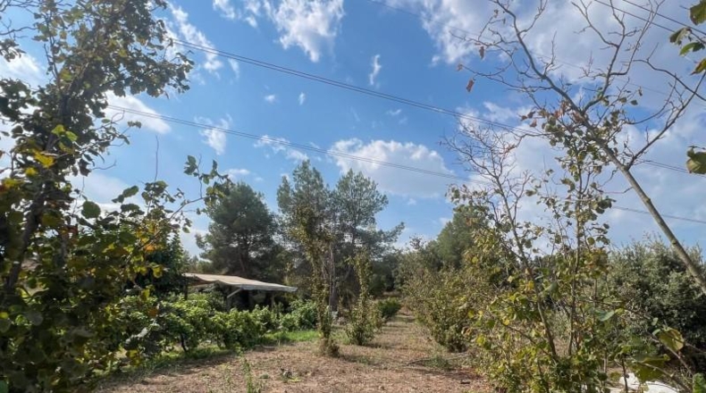 Tarragona - les Borges del Camp - 60972m2