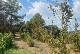 les Borges del Camp 60972&nbsp;м²