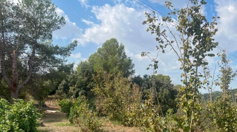 Tarragona - les Borges del Camp - 60972m2
