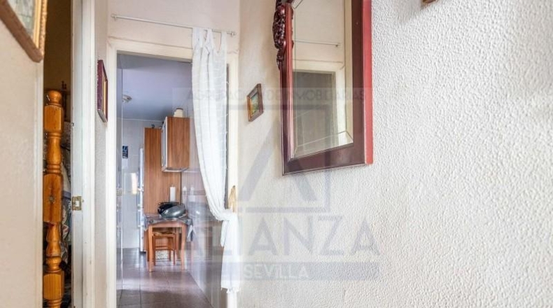 Sevilla - Sevilla - 81m2