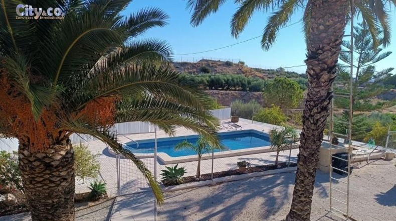 Murcia - Molina de Segura - 224m2