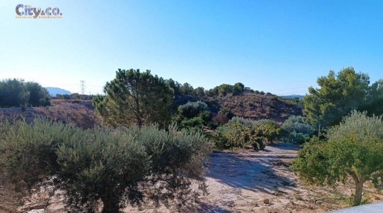 Murcia - Molina de Segura - 224m2