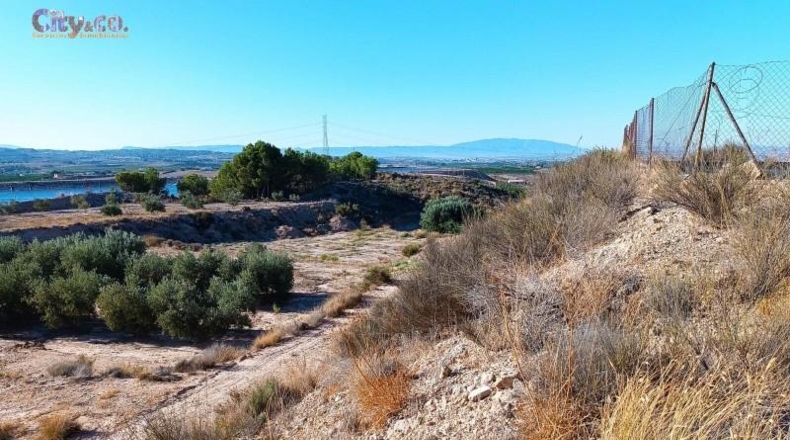 Murcia - Molina de Segura - 224m2