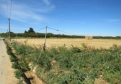 Land suitable for development for sale on España, Conil de la Frontera, ref: TR403498 photo