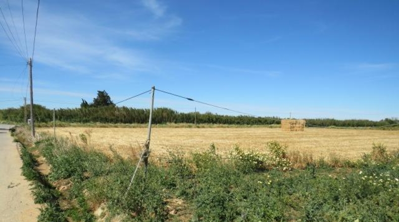 Cádiz - Conil de la Frontera - 22000m2