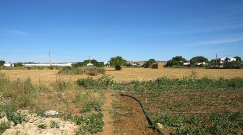 Cádiz - Conil de la Frontera - 22000m2