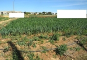 Land suitable for development for sale on España, Conil de la Frontera, ref: TR403498 photo