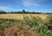 Land suitable for development for sale on España, Conil de la Frontera, ref: TR403498 photo