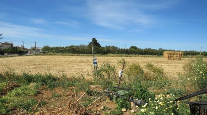 Cádiz - Conil de la Frontera - 22000m2